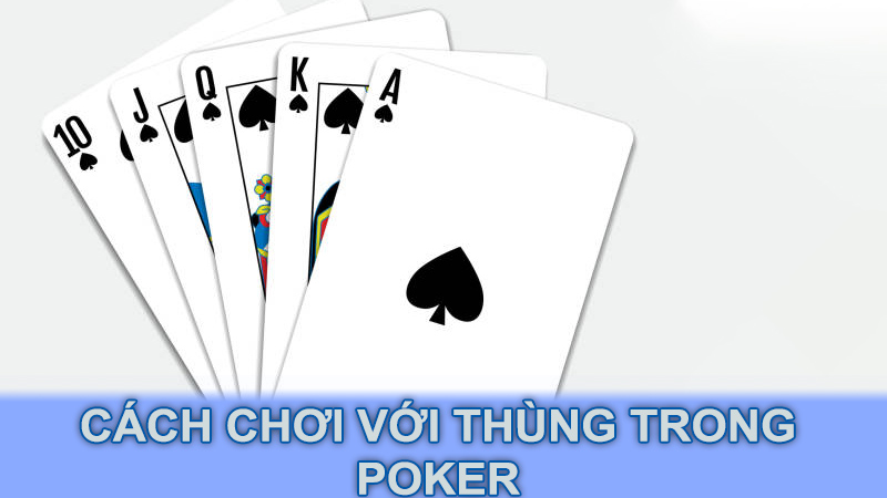 Cách chơi với thùng trong Poker