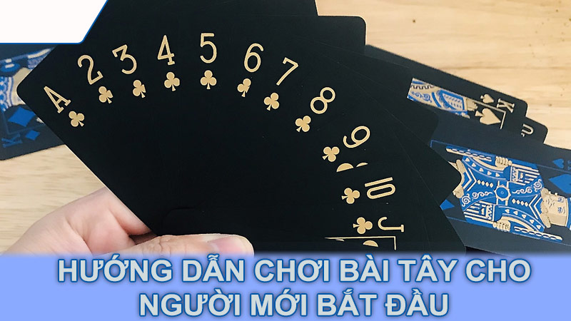 Hướng dẫn chơi bài Tây cho người mới bắt đầu