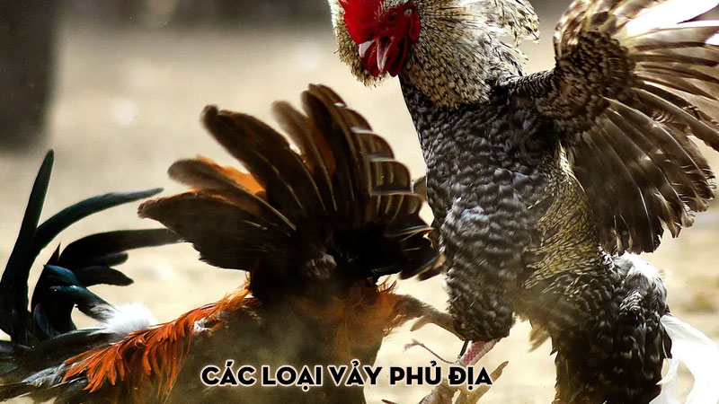 Các loại vảy phủ địa